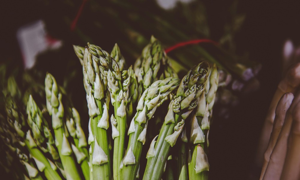 Spargelanbau in Deutschland schrumpft, Importe gewinnen an Bedeutung