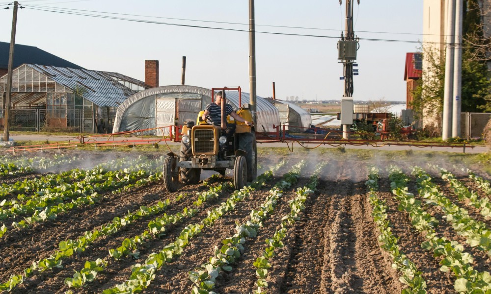 Thermische Verwertung ersetzt zunehmend Düngereinsatz bei Klärschlamm Thermische Verwertung ersetzt zunehmend Düngereinsatz bei Klärschlamm